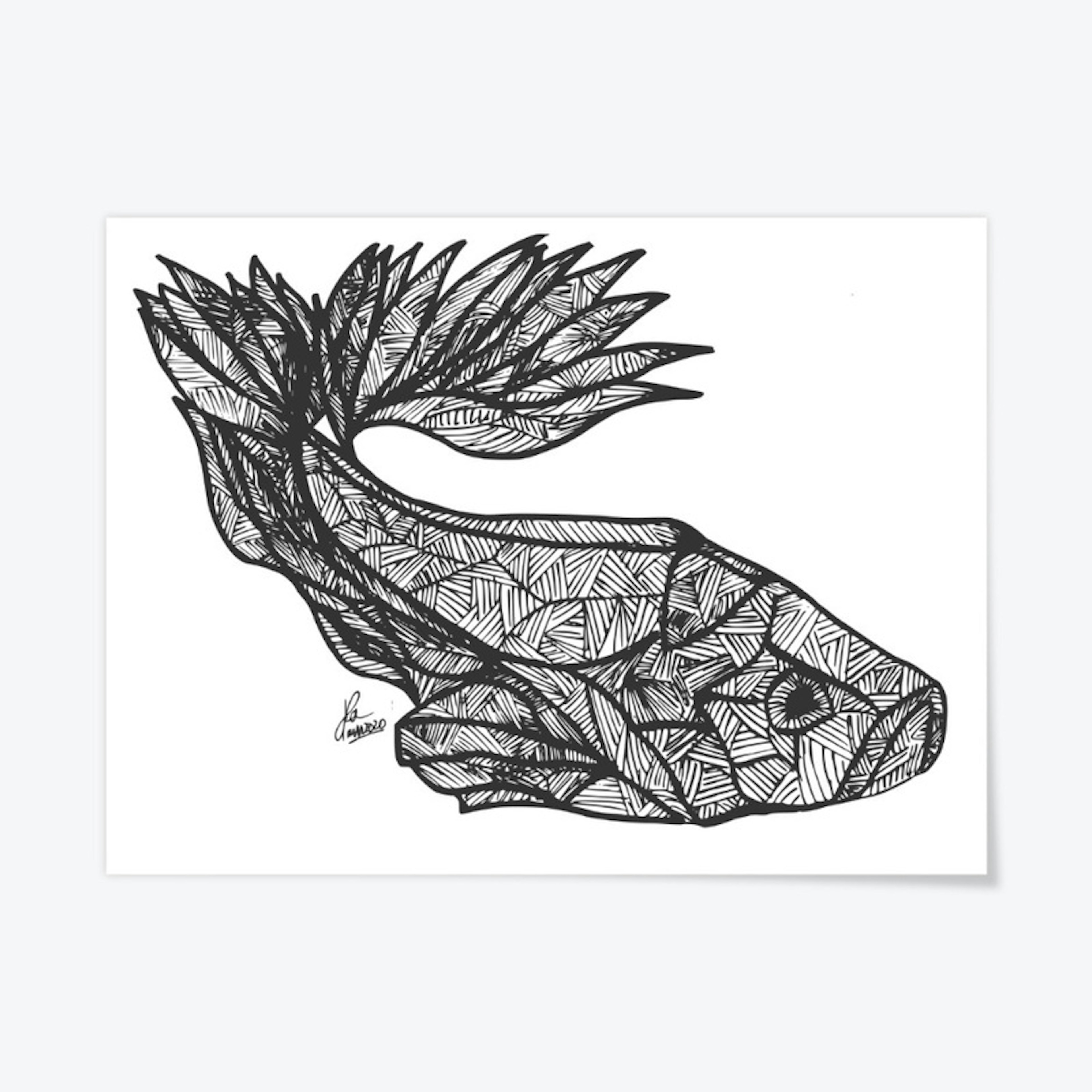 Iron Fish Drawing